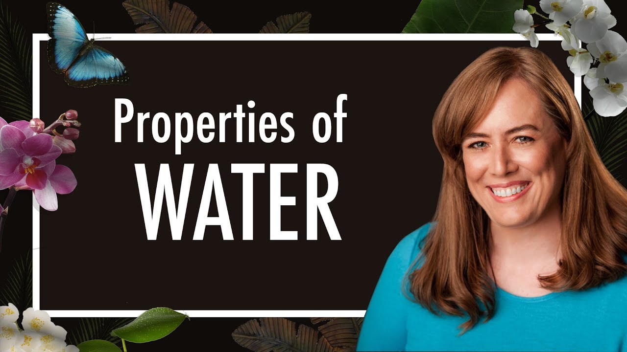 Ch.2 In-Depth Properties of Water 
