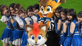 集合写真🤳あなたは誰推し⁇あつまれ美女軍団‼︎ 竹市琴美、塩澤美咲、橋本莉々花さんらファイターズガールが大集合　北海道日本ハムファイターズFフェス