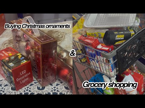 Buying Christmas ornaments 🎄 🎅 + grocery shopping 🛒 