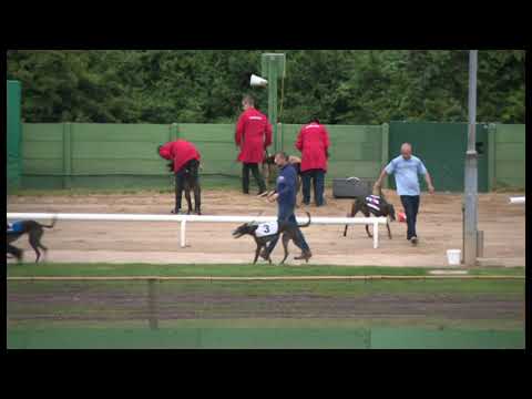 Grays Cup Winner - Ladbrokes Gold Cup - Heat 4