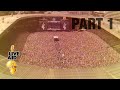 Live Aid 40th Anniversary PART 1