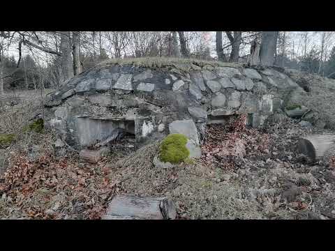 KULSPRUTEVÄRNET i FORSTHEIM - 2022-02-17 - Johannishus - RONNEBY - Huawei P40 Pro (BLEKINGE)