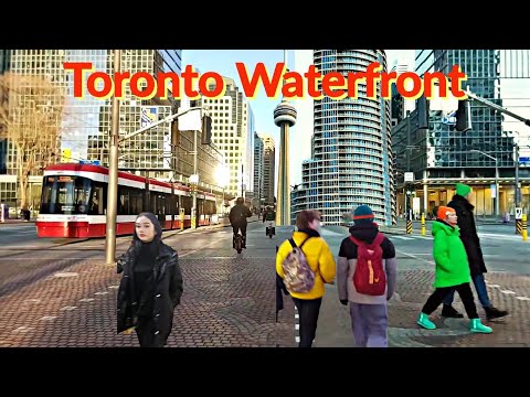 TORONTO WATERFRONT | FROZEN LAKE ONTARIO | WINTER WALK IN DOWNTOWN