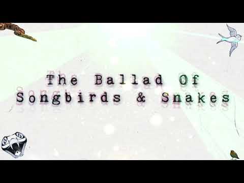 Lil Buoy - GLOCKCOMA (Official Visualizer)