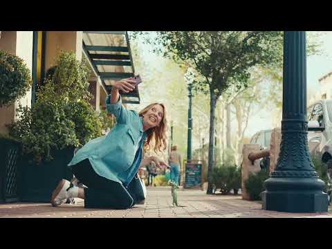 GEICO "Doug The Pug"