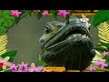 The Amazing World Tropical Rainforest