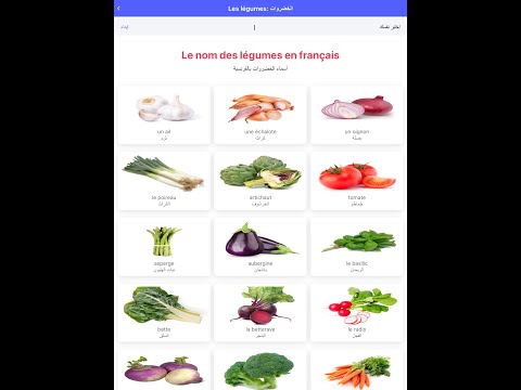 French vocabulary
