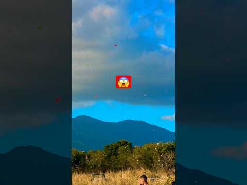 Festival de Pipas Serra Alta RJ 2025 #pipas #pipaéarte #serraalta #festivaldepipa #youtubeshorts