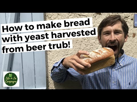 How to make bread with yeast harvested from beer trub!