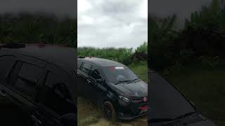 Download lagu Proses Kayu sungai baung || Berujung fatal mp3 Download lagu Proses Kayu sungai baung || Berujung fatal mp3