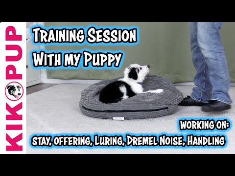 STOP UNWANTED behaviors with BACK UP