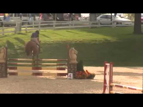 Video of BALIO ridden by CARLOS QUINONES from ShowNet!