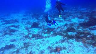 Cozumel 2023, Day 1, Dive 2, Part 3