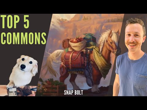 TOP 5 CARDS FOR PAUPER FROM LORD OF THE RINGS: TALES FROM MIDDLE-EARTH