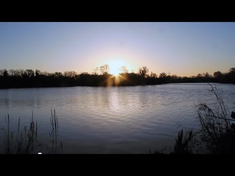 Dave Lane Carp Blog - Dave Lane's First Burghfield Lake Experience