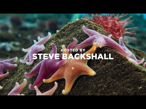 Seven Worlds One Planet Live In Concert Trailer