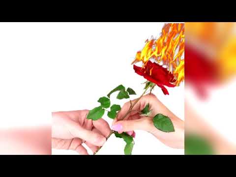 WIFIGAWD - HILLARY DUFF