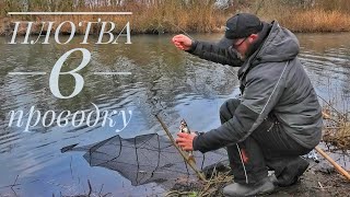 Белоозерск теплый канал осенняя ловля плотвы