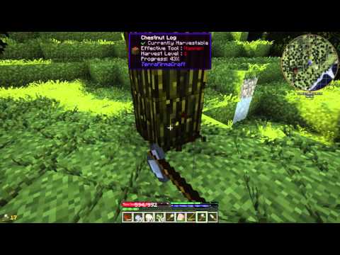 TerraFirmaPunk Let's Play - s1e1 Getting Started