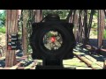 Far Cry 3 - Co-Op Walkthrough Video