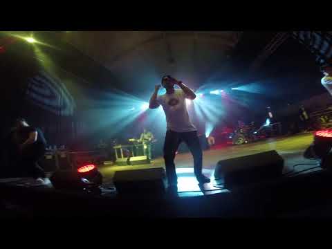 MSD w Poznaniu 2016 koncert z Pezetem i backstage