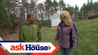 How To Set Up a Beehive