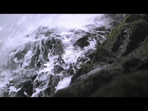 KAMUS feat. JOPSO - FREE MELAZA (PROD. NAF LOOPS)