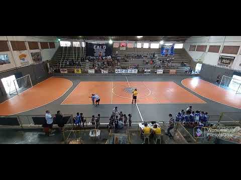 Sub 8 - Fonseca x Olaria.