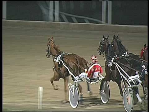 Trotto 31/01/2017 - 6ª corsa