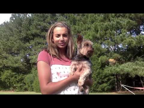 Brandon Geography PSA - Channing