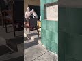High School Girls Leaked Video School Girls Leaked Video