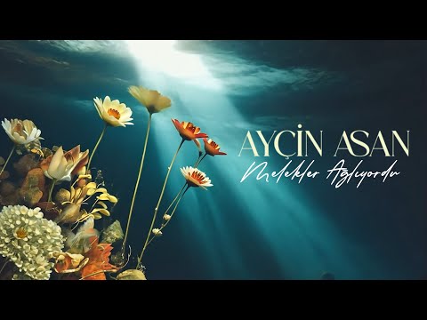 Ayçin Asan - Melekler Ağlıyordu