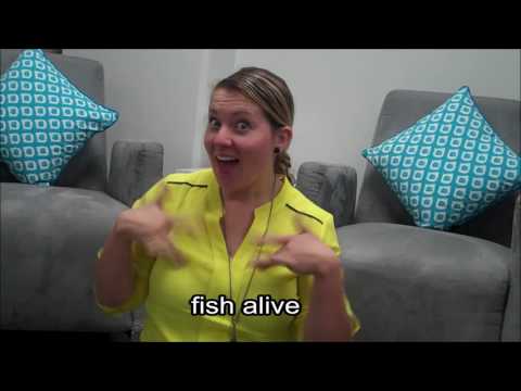 How to Sign Catch, Catch Out in NZSL
