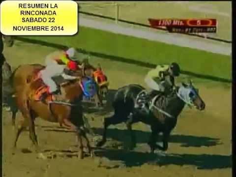 RESUMEN LA RINCONADA SABADO 22 NOVIEMBRE 2014