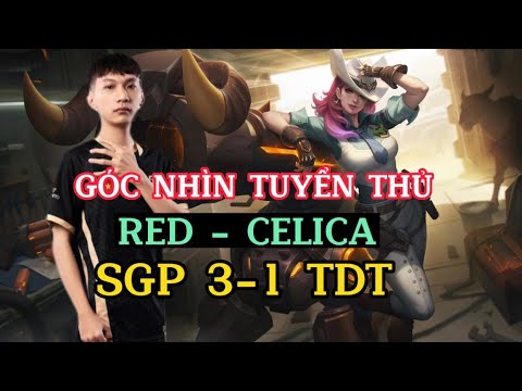 Góc Nhìn Tuyển Thủ Celica