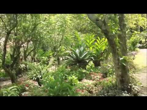 Astrology for the Soul  June 10, 2015