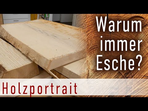 Esche kurz vorgestellt – ein tolles Holz, dass es vielleicht bald nicht mehr so einfach gibt.