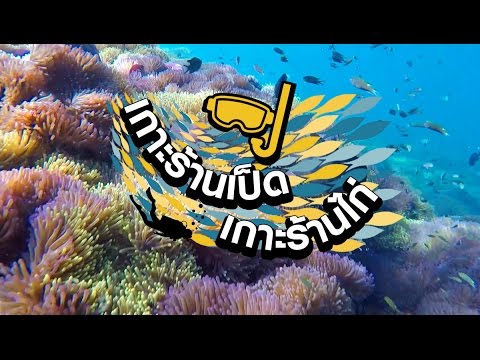 คลิกเพื่อดูคลิปวิดีโอ