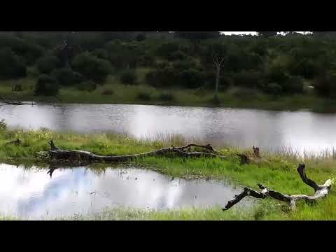 Djuma: Sights and sounds - 09:44 - 03/23/2023