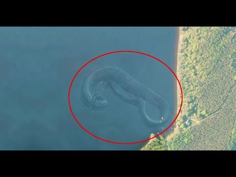image-Can I see a live satellite view of my house?