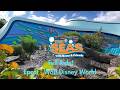 The Seas With Nemo And Friends Ride Full Ride Epcot Walt Disney World