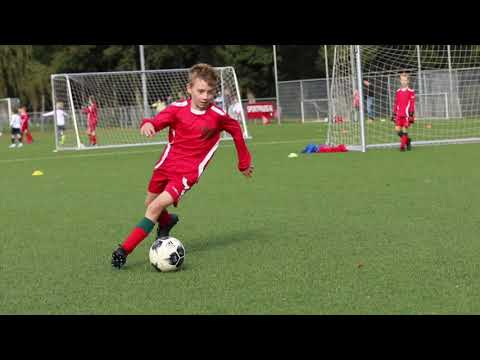 SDW J010-1 - Zeeburgia