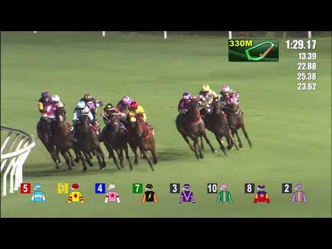 6/10/2021 (78) Dynamic Eagle- A Badel (Teetan fell from the horse)