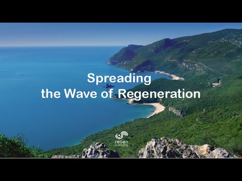 Arrabida Superbioregion: Scaling Superforests Network Model