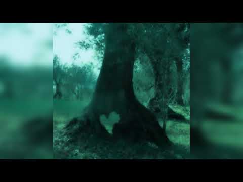 [free] midwest emo x indie rock type beat "hold"