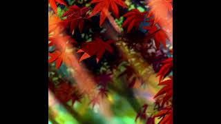 Download lagu Feel like you're losing everything [ AMV ] 💯 #anime #myself #motivation #shorts mp3