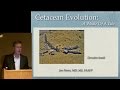 Whale Evolution