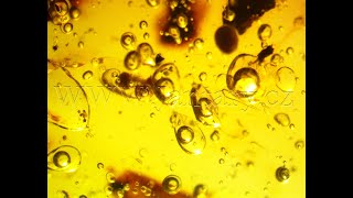  Křídový jantar B-124