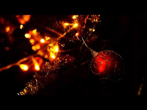 Vasile Palfi - Pe strada din Viflaim