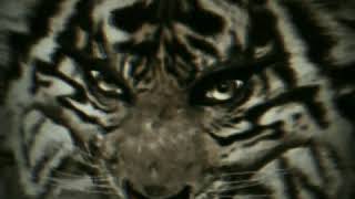 Download lagu Status WA reyog ponorogo Seremmmmmmm..!!! mp3 Download lagu Status WA reyog ponorogo Seremmmmmmm..!!! mp3